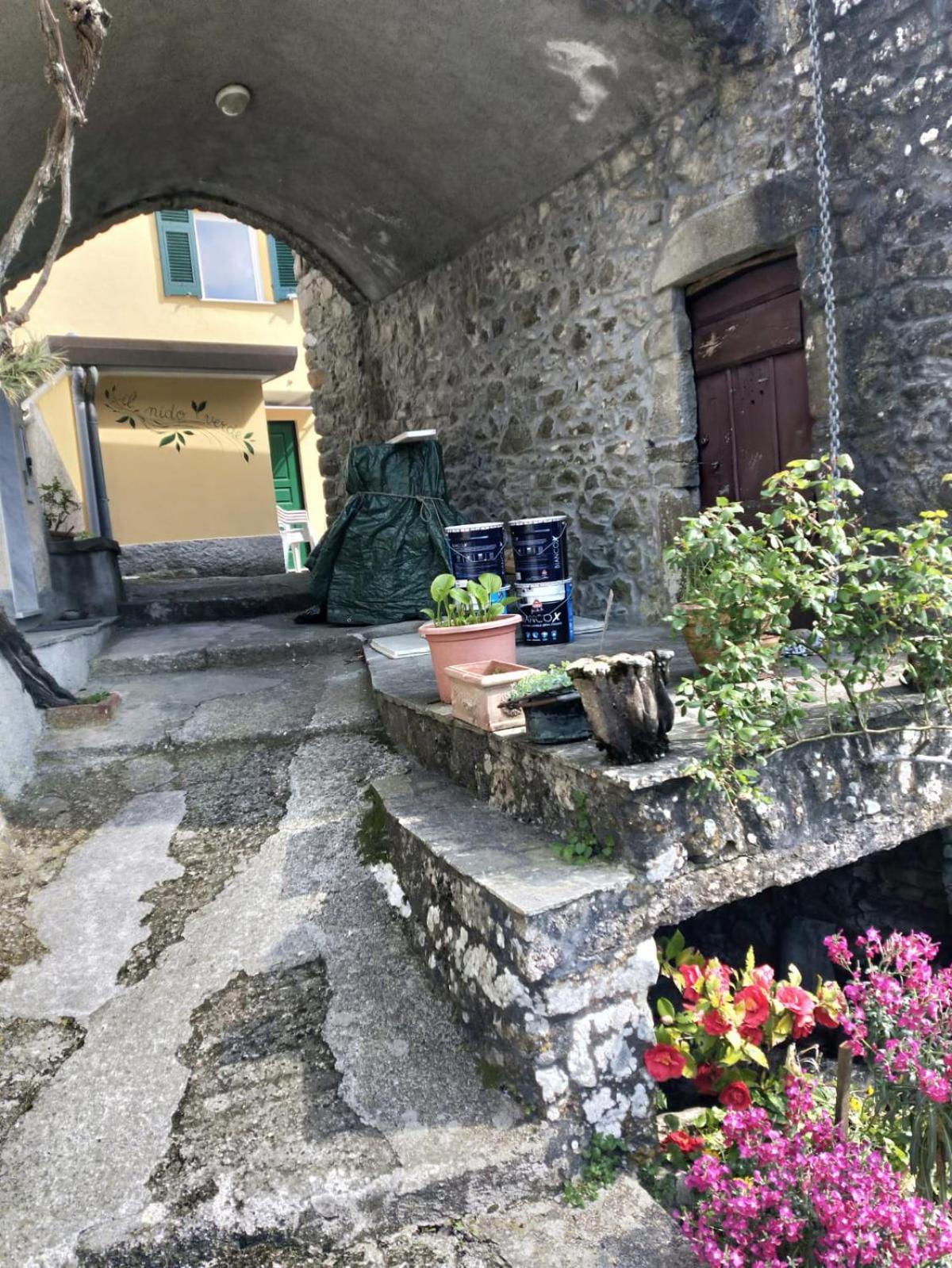 Il Nido Verde Groppo  Esterno foto