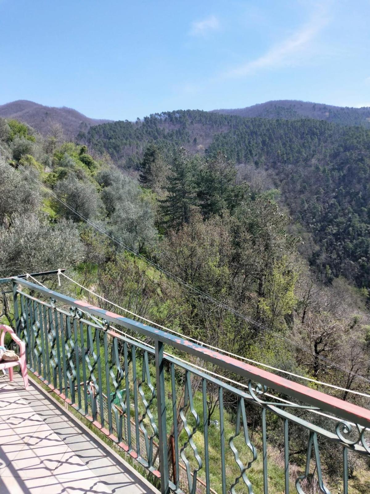 Il Nido Verde Groppo  Esterno foto