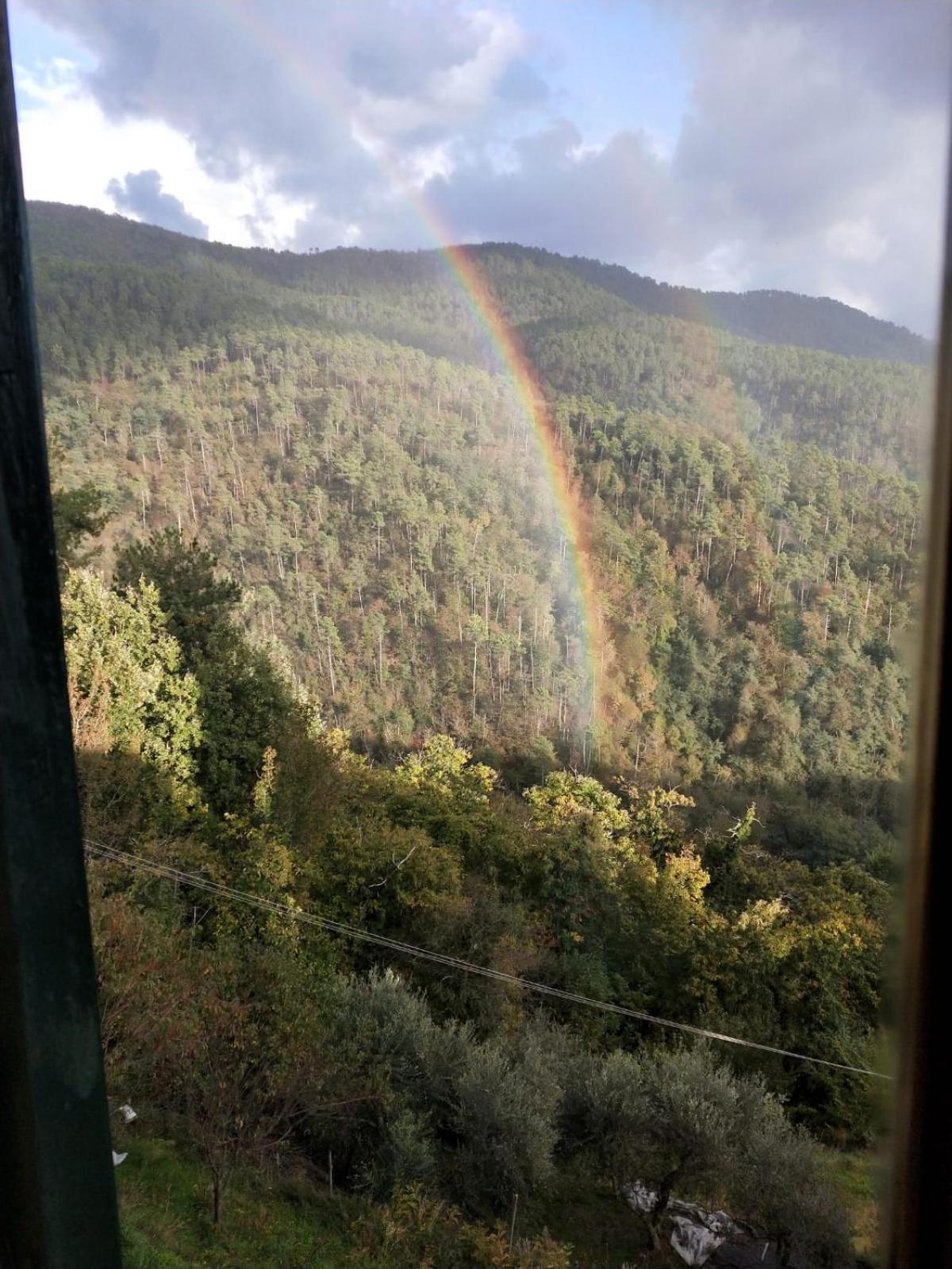 Il Nido Verde Groppo  Esterno foto